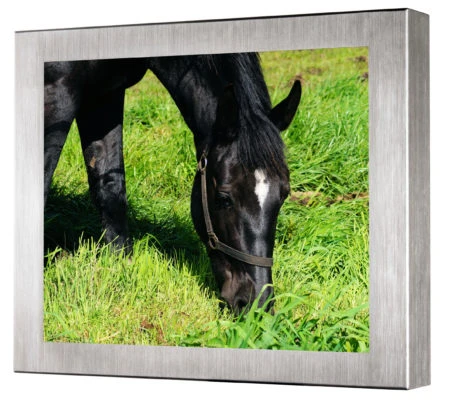 TRU-Vu VMOB-10.4C-24