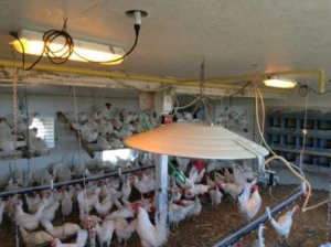 Product Application Example