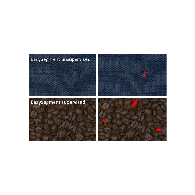Euresys EasySegment
